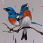 Bird Paintings by Frank Gonzalez : Gorgeous paintings of birds by American artist Frank Gonzalez.

"My work is about taking reference from various sources including books, the net and photos to comprise and create my own imagery. By creating my paint
