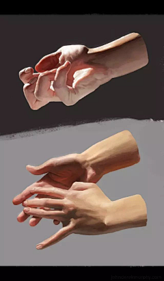 沉迷于画画采集到人体结构