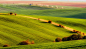 Piotr Krol在 500px 上的照片Moravian fields Southern Moravia, Czech Republic, March 2014 
http://bax.wroclaw.pl 
https://www.facebook.com/Piotr.Krol.Photography
#bax #baxteria #fields #green #krol #landscape #moravia #piotr