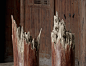 断裂漆木柱子/Broken lacquered wood pillar
