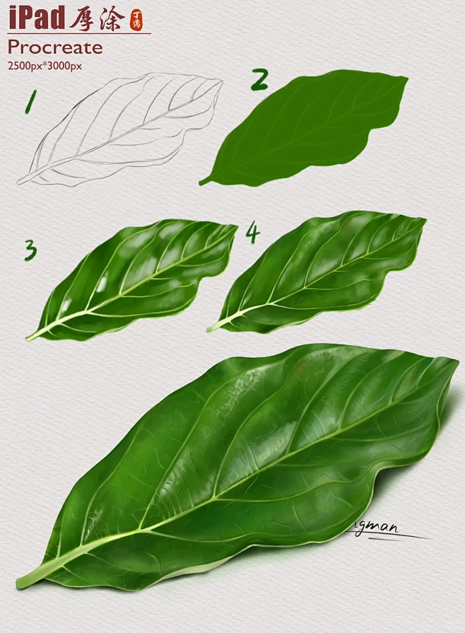 十分钟小画 快来试试 iPad厚涂 树叶-花瓣网