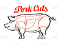 矢量猪肉、 猪图表。分割肉或肉店