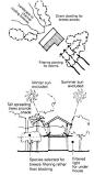 Description:  Site-plan expresses strategies of landscape and plantings to optimize weather patterns in winds and storms. Section of house shows purposeful selection of tree types to promote sunlight/ shading and optimize air circulation.  Why successful: