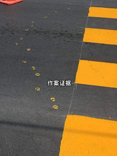 迦楠迦楠采集到此间美好