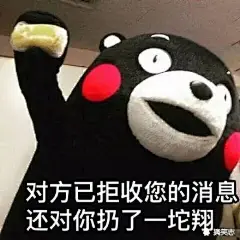 熊本表情包大集合-兴趣部落