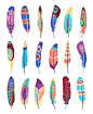 Vector colored feathers set by Microvector 