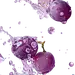 葡萄7