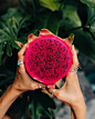 Dragon fruit | Bali, Indonesia