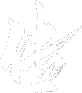 传-11