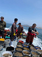 大连底播野生海参现场版