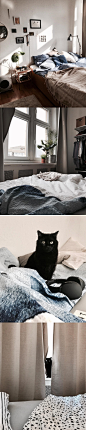 一张床，一个人，一只猫，这就是我所想要的生活 ​​​​