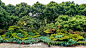 “花好月圆”大型立体花坛扮靓西湖苏堤 : 8月16日，在杭州西湖苏堤跨虹桥旁的草坪上，一组以荷花为主题的“花好月圆”大型立体花坛已完成主体施工。