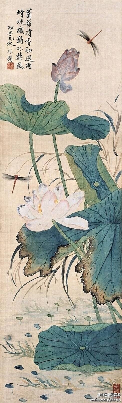 【 于非闇《荷花蜻蜓图》 】 白莲设色浓...