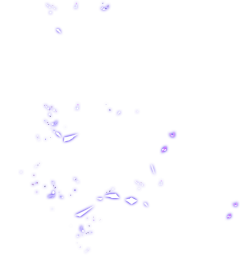 九月=采集到素材