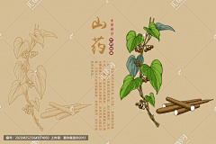 っ煴煖苜艮眸デ采集到花草