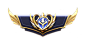 国服