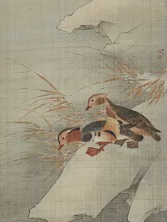 倒春寒～❄️_1_芃芃_来自小红书网页版