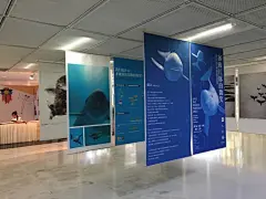 2016展览|“拯救江豚的微笑”设计师海报邀请展