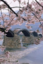 Sakuragawa river, Japan