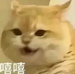 猫猫表情包｜胖罐子胖摔_04