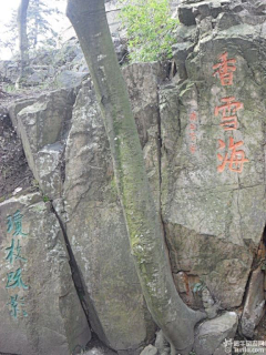 Kid人生海海采集到材质学习