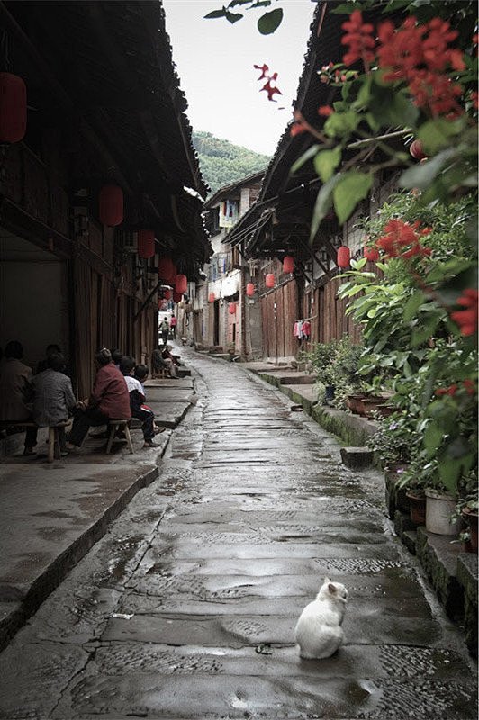 【图】雨巷_西域干沟汉的收集_我喜欢网 ...