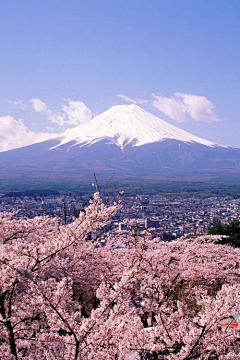 徐徐漫步采集到富士山