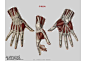 迈克尔汉普顿人体结构-手肌肉