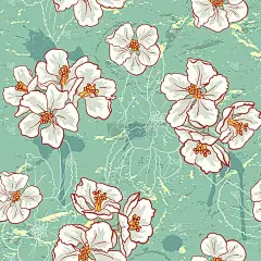 苹果的花朵图案。