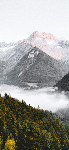 喵与花采集到风景