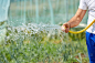男农户手捧水管与温室浇水植物