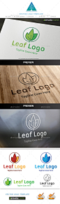 叶的标志——自然标志模板Leaf Logo - Nature Logo Templates保健、环保、生态、环境、植物、花店,花,花朵,森林,新鲜,花园,园艺,绿色,健康,健康,美化,叶子,树叶,树叶,医学、自然,自然,组织,星球,植物,政治、回收、spa、旋转 care, eco, ecology, environment, flora, florist, flower, flowers, forest, fresh, garden, gardening, green, health, healthy,