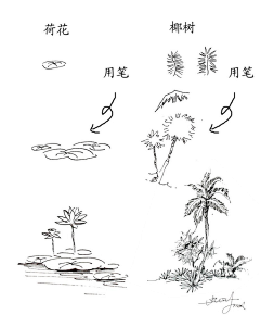 麦兜errrrr采集到植物手绘