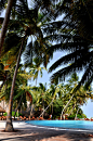 马尔代夫--蓝天白云，椰林树影，水清沙幼