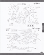 数码宝贝设定集