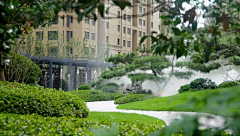 小猫eat黄瓜采集到植物组团