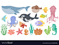 Cartoon ocean animals funny blue whale cute vector image on VectorStock : Cartoon ocean animals. Funny blue whale, cute hedgehog fish and orca. Octopus, squid and seahorse. Underwater sea life vector illustration set. Ocean fauna, dolphin seahorse, octopu