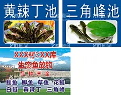 农家乐鱼塘垂钓  - 源文件下载【酷图网】钓鱼比赛,钓鱼大赛,钓鱼海报,钓鱼展板,钓鱼背景,钓鱼池,钓鱼比赛广告,钓鱼比赛设计,垂钓比赛,垂钓,钓鱼,渔具,鱼,鱼钩,鱼杆,渔具店,钓鱼标志,农家乐垂钓,鱼塘垂钓,水库垂钓,休闲垂钓,钓虾场,钓鱼工具,渔具店广告,钓鱼培训,钓具,钓鱼活动,渔乐无穷,钓具海报,生态垂钓,