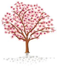 樱花树绘图