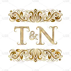 T和N复古的首字母符号。字母周围有装饰元素。皇室风格的婚礼或商业伙伴的字母组合。