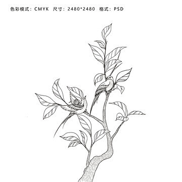 茶树喜鹊线稿