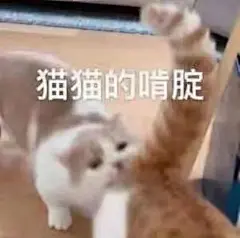 来自分享