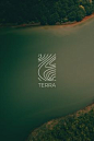 其中包括图片：Terra Logo