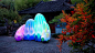 NATURE ILLUMINATED
相互依偎