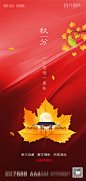 【源文件下载】 海报 房地产 中式 二十四节气 秋分 枫叶 194627