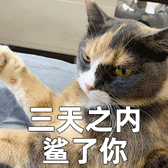 猫咪 怂 表情包02