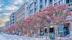 🌸沙沙沙🌸采集到Landscape|道路景观/交叉口