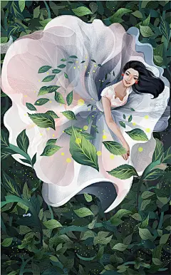 百雀羚新节气合集