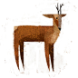 - forest animals - : Forest animals