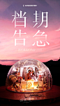 档期  告急